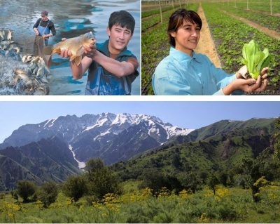 ЎЗБЕКИСТОНДА ҚИШЛОҚ, ЎРМОН ВА БАЛИҚ ХЎЖАЛИКЛАРИДА ЎСИШ КУЗАТИЛМОҚДА