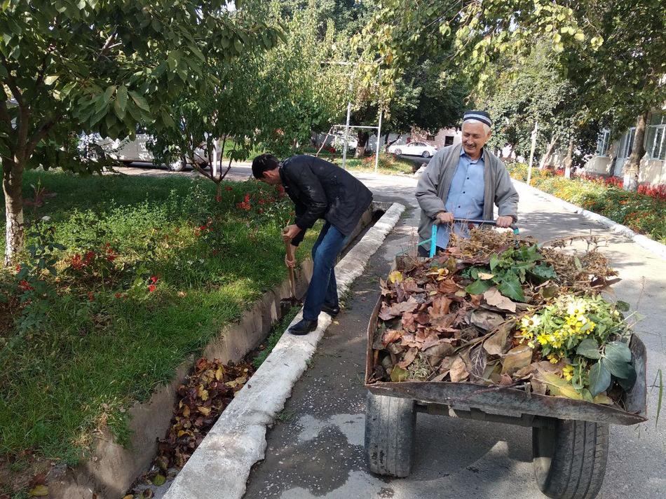 Умумхалқ хайрия хашари